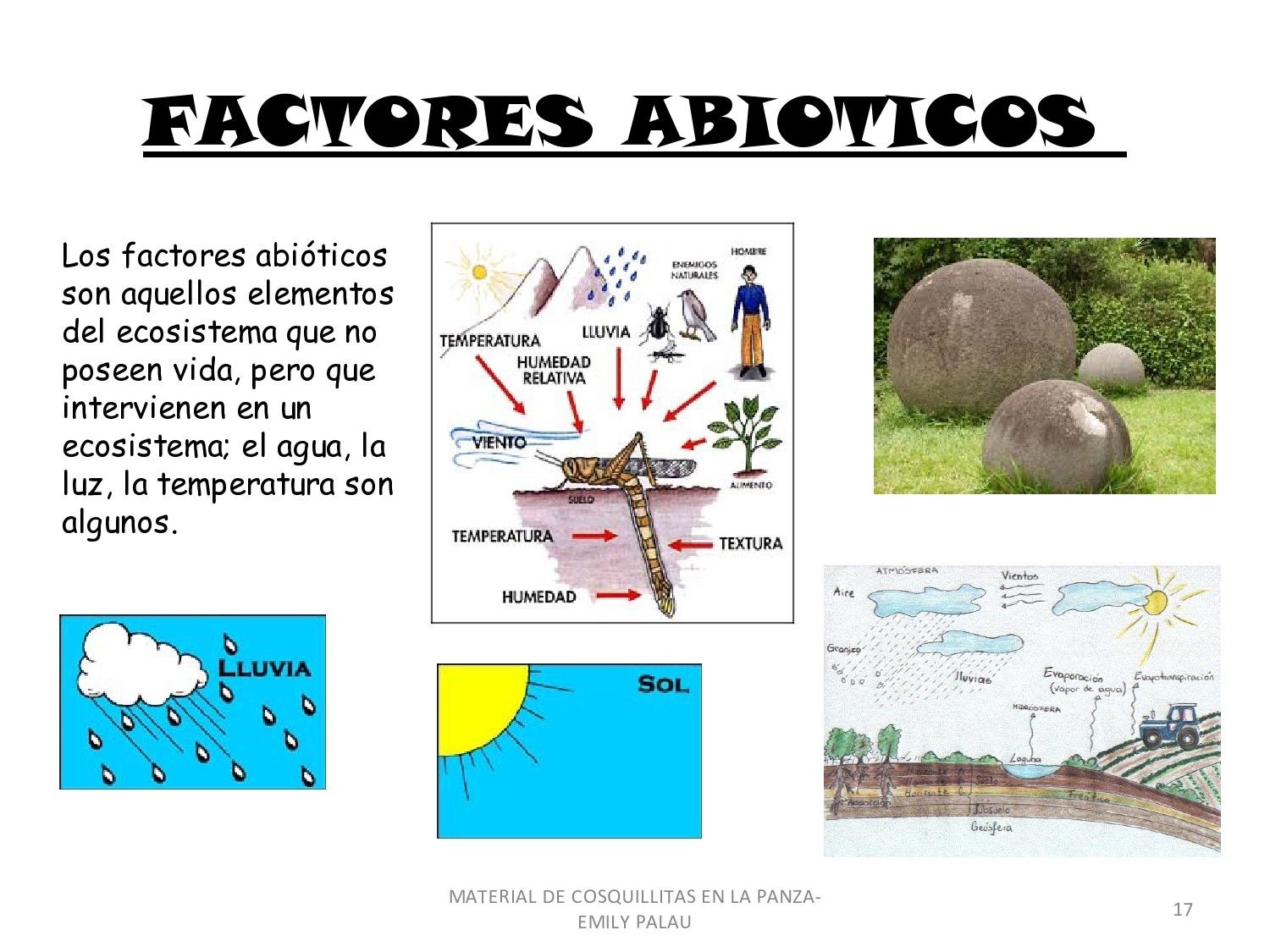 dibujo de factor abiótico